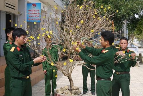 竹岛部队的一枝梅（图片来源：人民军队报）