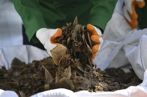 马来西亚缴获30吨穿山甲和穿山甲鳞片。图自AFP/TTXVN 马来西亚缴获30吨穿山甲和穿山甲鳞片。图自AFP/TTXVN