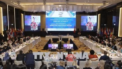 女性议员会议场景。（图片来源：越通社）