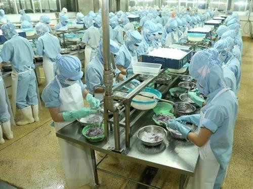 资料图: 越通社记者 武生 摄 资料图: 越通社记者 武生 摄