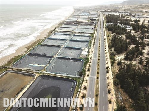 宁顺省海岸线长达105公里,平均气温较高和稳定,海洋水源质量好,有利于该省发展虾苗养殖业。记者 黄河 摄 宁顺省海岸线长达105公里,平均气温较高和稳定,海洋水源质量好,有利于该省发展虾苗养殖业。记者 黄河 摄