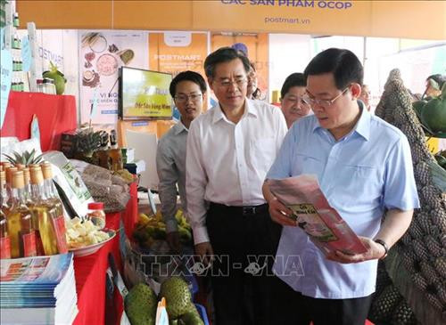 政府副总理王廷惠参观九龙江三角洲各省市农产品展位。图自越通社