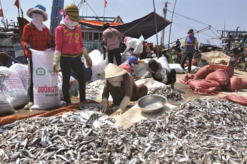 李山岛上居民以捕鱼为生。