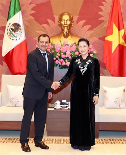 越南国会主席阮氏金银会见墨西哥参议长埃内斯托。 （图片来源：越通社）