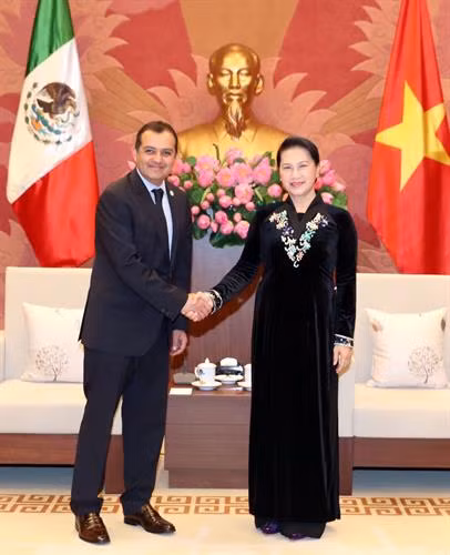 越南国会主席阮氏金银会见墨西哥参议长埃内斯托。 (图片来源:越通社) 越南国会主席阮氏金银会见墨西哥参议长埃内斯托。 (图片来源:越通社)