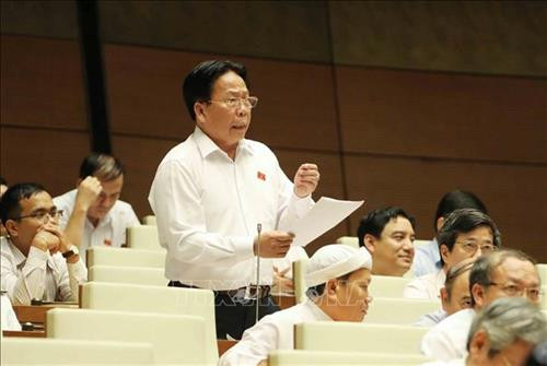 国会代表发表讲话。图自越通社