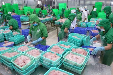 今年前8个月,销往美国查鱼出口额仅达1.88亿美元,同比下降41.5%。图自越通社 今年前8个月,销往美国查鱼出口额仅达1.88亿美元,同比下降41.5%。图自越通社