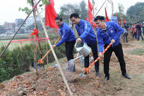 河内青年参加植树节。（图片来源：越通社）