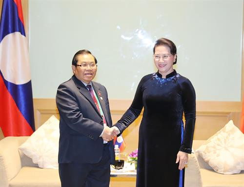 国会主席阮氏金银会见老挝国会副主席。（图片来源：越通社）