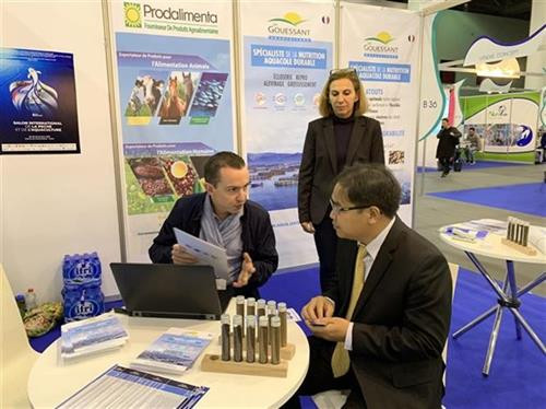 黄德润参观阿尔及利亚企业的展位。图自越通社 黄德润参观阿尔及利亚企业的展位。图自越通社