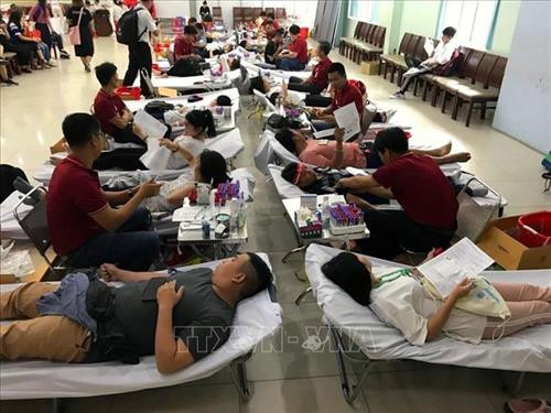 无偿献血活动吸引众多人报名参加。图自越通社 无偿献血活动吸引众多人报名参加。图自越通社