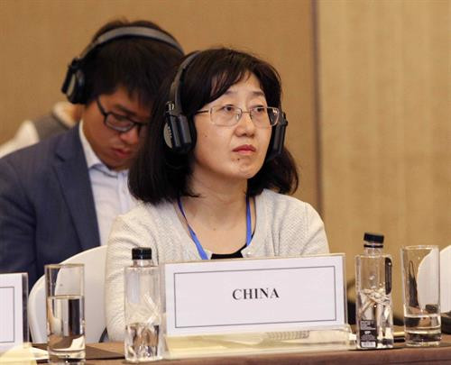 出席会议的中国代表 图自越通社