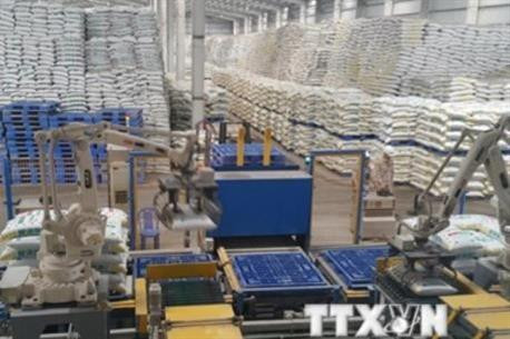 越南化肥生产厂。(图片来源:越通社) 越南化肥生产厂。(图片来源:越通社)