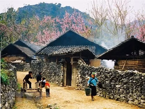 河江省同文岩石高原上的日常生活。图自越通社