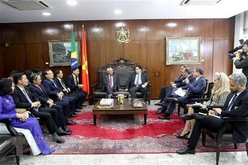 越南国会副主席汪周刘（左）会见巴西参议院议长戴维。图自越通社