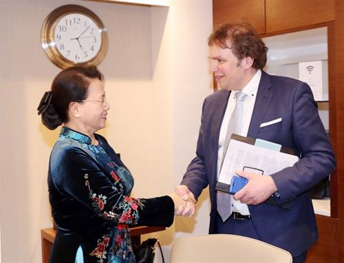 越南国会主席阮氏金银会见荷兰三角洲工程副高级专员赫门·波斯特。（图片来源：越通社）