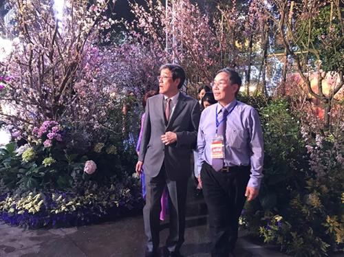 日本驻越特命全权大使梅田邦夫（左一）观赏樱花。图自越通社