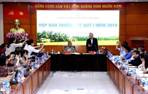 新闻发布会场景。图自越通社 新闻发布会场景。图自越通社