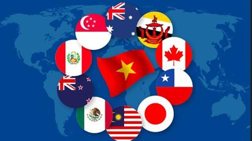 附图。图自互联网