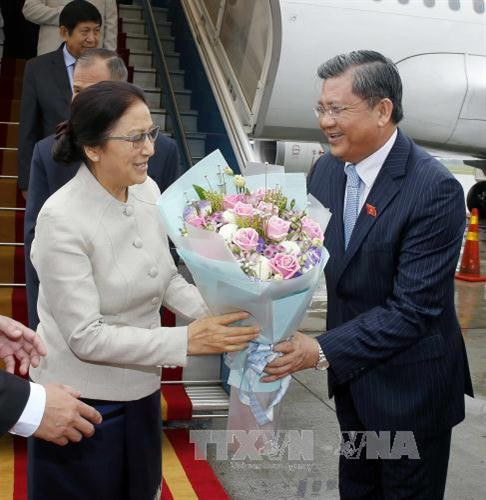 越南国会对外委员会主任阮文饶到内排机场迎接巴尼·亚托杜。（图片来源：越通社）