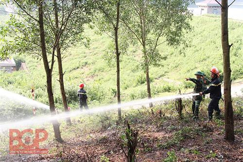 北江省加强森林资源保护管理工作（图片来源：互联网）