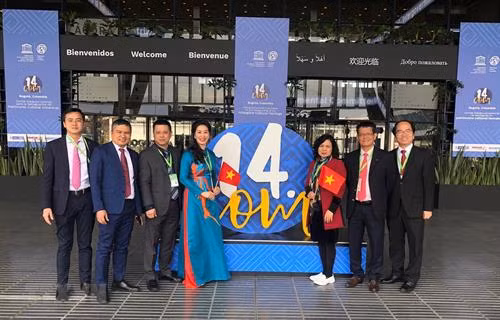 上述决定是于12月9日至14日在克伦比亚波哥大举行的保护非物质文化遗产政府间委员会第十四次会议上做出的。图自越通社 上述决定是于12月9日至14日在克伦比亚波哥大举行的保护非物质文化遗产政府间委员会第十四次会议上做出的。图自越通社