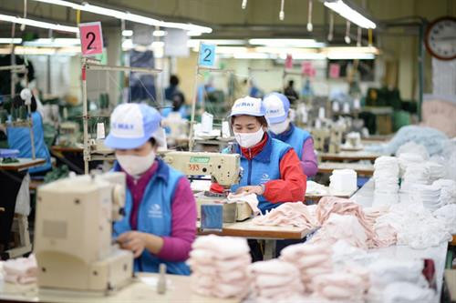 附图。图自越通社