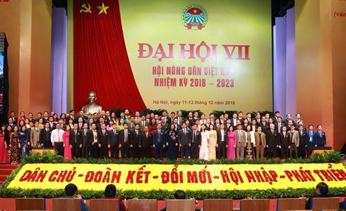 2018-2023年任期第七届越南农民协会全国代表大会全景。图自越通社