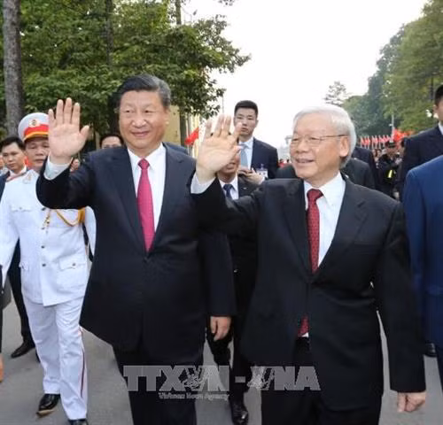 越共中央总书记阮富仲与中共中央总书记、中国国家主席习近平。（图片来源：越通社）