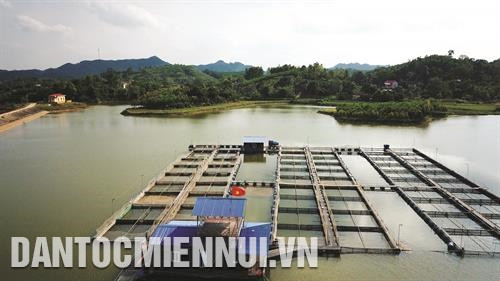 近年来北江省水产品养殖已从小规模生产转为商品集中式生产，满足市场的需求。