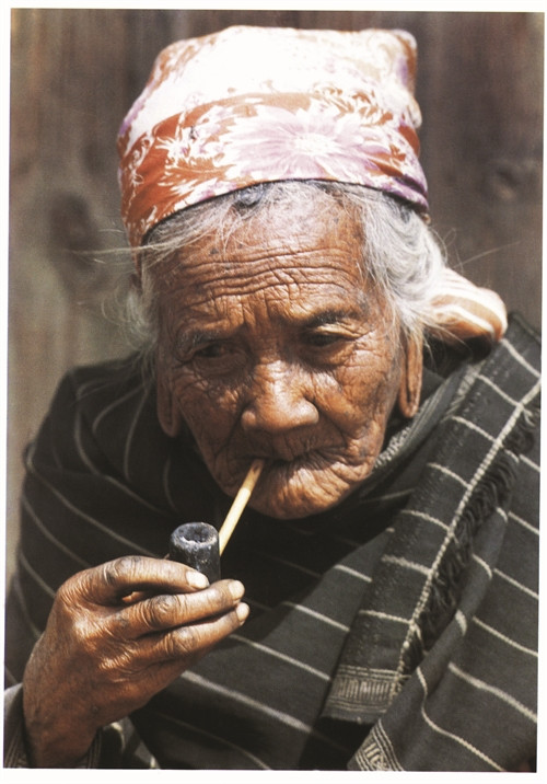 戈豪族的老年人。
