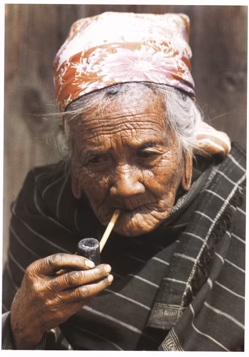 戈豪族的老年人。