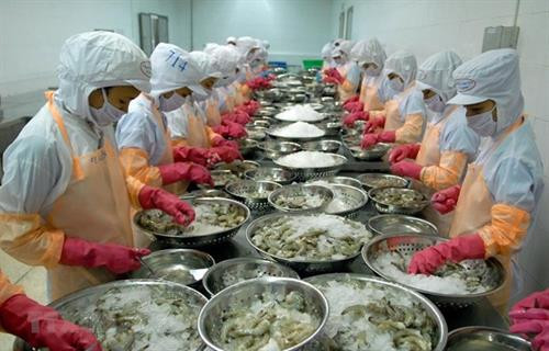 附图。图自越通社