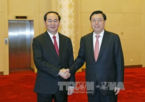 国家主席陈大光（左）会见中国全国人大常委会委员长张德江。（图片来源：越通社）