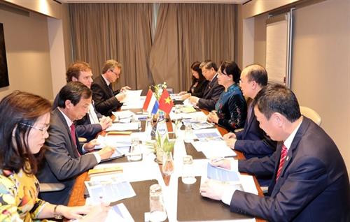 越南国会主席阮氏金银会见荷兰三角洲工程副高级专员赫门·波斯特。（图片来源：越通社）
