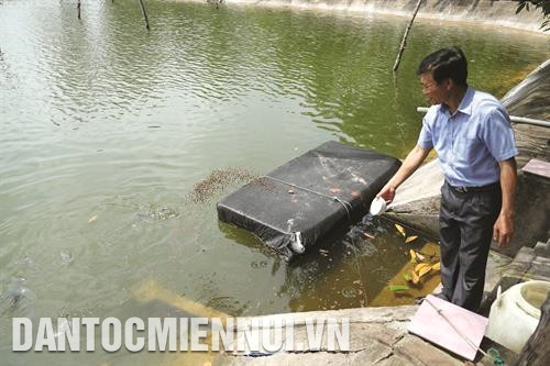 老兵裴玉廉成为促进建立“芒街南美白对虾”集体商标和采用先进的科学技术来养殖工业虾的带头者。