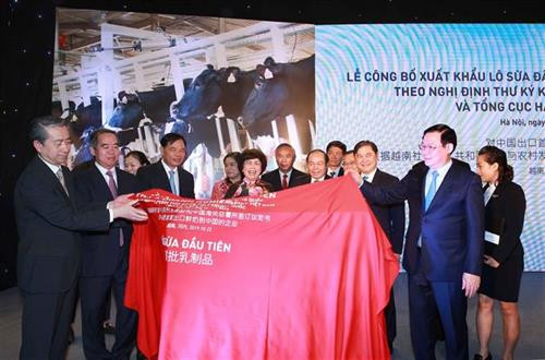 越南政府副总理王廷惠,中央经济部部长阮文平等领导出席仪式。图自越通社 越南政府副总理王廷惠,中央经济部部长阮文平等领导出席仪式。图自越通社