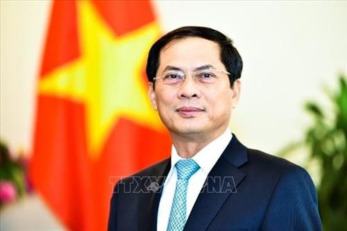 越南外交部常务副部长裴青山。图自越通社