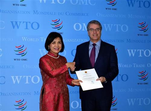 越南常驻日内瓦代表黎氏雪梅大使向世贸组织(WTO)总干事阿泽维多递交国书。图自越通社