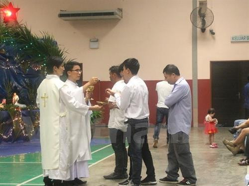 在马越南天主教徒的2017年圣诞节庆祝活动。（图片来源：越通社）