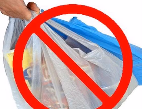 附图。图自因特网