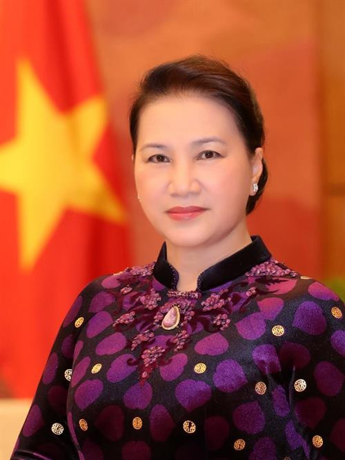 越南国会主席阮氏金银。图自越通社