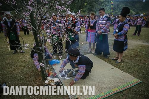 祭师在高曹节开始之前举行祭祀仪式。记者 仲达 摄