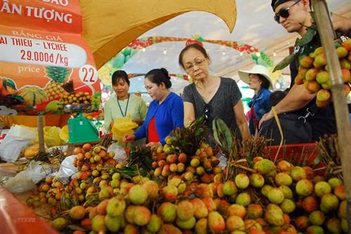 附图。图自越通社 附图。图自越通社