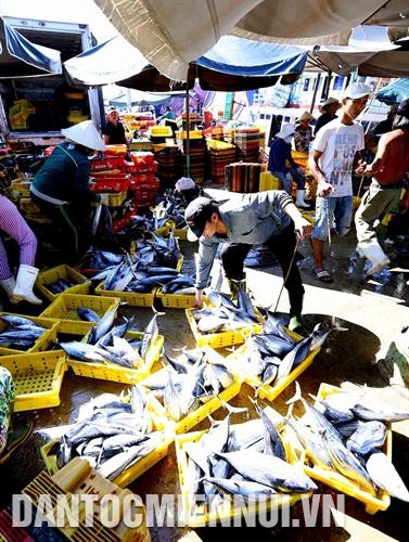 10年内海产品捕捞与加工领域增长50%，从2007年的207万吨提升到2017年的319万吨。越南是水产品加工业水平处于世界良好水平，500个加工厂达对日本、美国和欧盟等市场的出口标准。记者 武生 摄