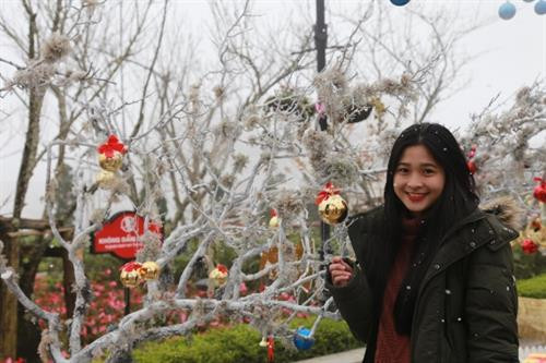 沙巴冬季。(图片来源:越通社) 沙巴冬季。(图片来源:越通社)