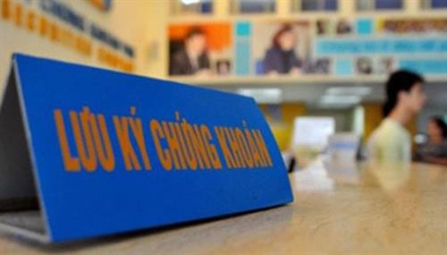 证券交易代码还有30249个，其中机构投资者4241个和个人投资者26008个。图自http://vneconomy.vn