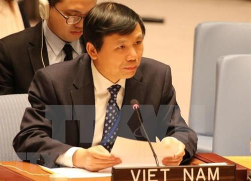 越南常驻联合国代表团团长邓廷贵大使。图自越通社