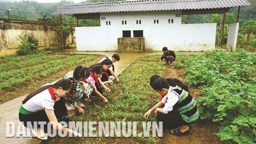 上课时间外，文振县半寄宿制初中学校的学生们又种植蔬菜。