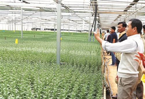 单阳县热然市镇（Đ'Ran）少数民族同胞正收获橘子—当地著名的土特产之一。 单阳县农民参观并学习借鉴高科技花卉栽培经验。 近几年来，奶牛养殖给单阳县农民带来高额利润。 单阳县人民为推动家乡更快更好发展而积极捐赠土地、金钱和贡献力量。 该县许多农户已大胆出资，应用高新技术，促进生产中的高新技术应用力度。 教育工作规范化水平不断提高，有助于使单阳县完成新农村建设中的教育目标。 单阳县将新农村建设与保护当地民族文化特色相结合。